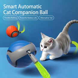 Rechargeable Cat Toy with Automatic Teaser Modes