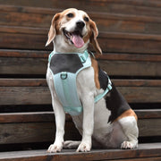 Adjustable Embroidered Dog Harness