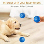 Pet Bouncing Ball