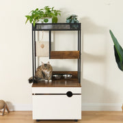 Cat Cabinet With Built-In Hidden Litter Box