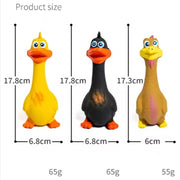 Duck Dog Toy
