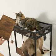Cat Cabinet With Built-In Hidden Litter Box