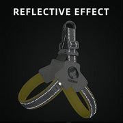 Adjustable Pet Harness