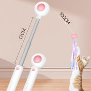 Retractable Cat Teaser Stick & Laser Pen