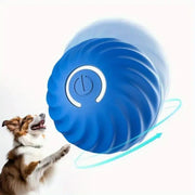 Pet Bouncing Ball
