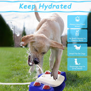 Multifunctional Dog Water Fountain