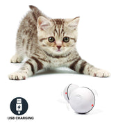 Interactive LED Cat Toy Ball