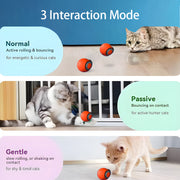 Rechargeable Cat Toy with Automatic Teaser Modes