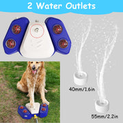Multifunctional Dog Water Fountain