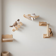 4-Piece Wall-Mounted Cat Furniture Set