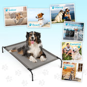 Elevated Dog Bed - Medium