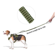 Training Dog Leash