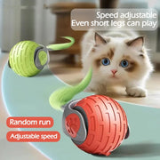 Interactive Auto-Rolling Cat Toy Ball
