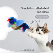 Bird Design Cat Teaser Toy