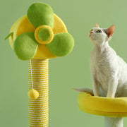 Cat Climbing Frame & Multi-Level Tower