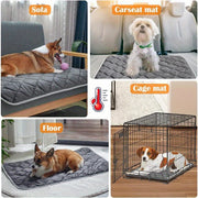 Self-Heating Pet Bed & Thermal Mat