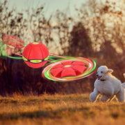4-Pack Flying Saucer Ball with LED Lights
