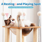 Indoor Wooden Cat Climbing Frame