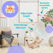 Retractable Cat Teaser Stick & Laser Pen