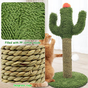 Cactus Cat Climbing Tree