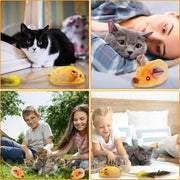 Interactive LED Toy Mouse