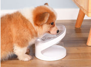 Ergonomic Cat Food Bowl