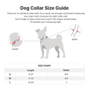 Heavy Duty Solid Dog Collar
