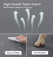 Large Elevated Dog Bed