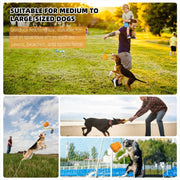 Multifunctional Dog Fetch Toy