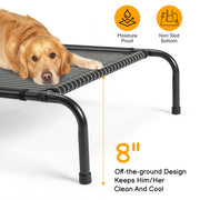Elevated Dog Bed – Durable Mesh Pet Cot for Indoor & Outdoor Comfort