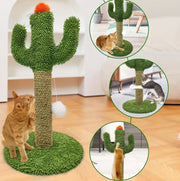 Cactus Cat Climbing Tree