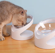 Ergonomic Cat Food Bowl