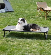 Large Elevated Dog Bed