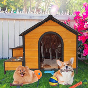 Spacious & Stylish Wooden Dog House