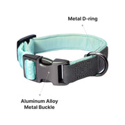 Heavy Duty Solid Dog Collar