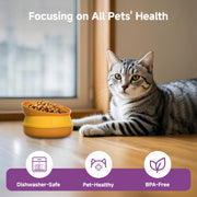 5-in-1 Hamburger Pet Bowl Set