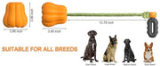 Multifunctional Dog Fetch Toy