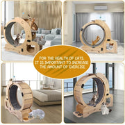 6-in-1 Upgraded Cat Exercise Wheel