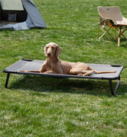 Large Elevated Dog Bed