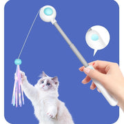 Retractable Cat Teaser Stick & Laser Pen