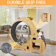 6-in-1 Upgraded Cat Exercise Wheel
