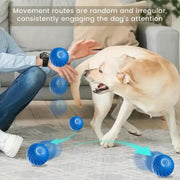 Pet Bouncing Ball