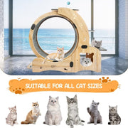 6-in-1 Upgraded Cat Exercise Wheel