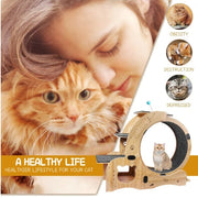 6-in-1 Upgraded Cat Exercise Wheel