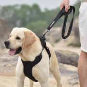 Training Dog Leash