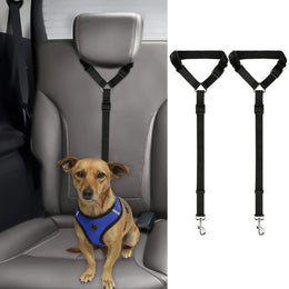 Dog Car Leash
