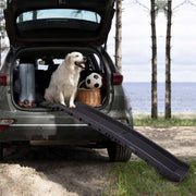 Portable Foldable Pet Ramp