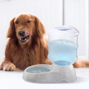 Self-Dispensing Gravity Pet Water Dispenser