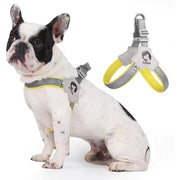 Adjustable Pet Harness