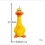Duck Dog Toy